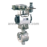 Pneumatic Piston type Camflex Control Valve