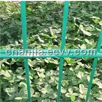 Polyester Coated Green Fencing / Composite Panel