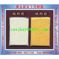 Resin-specific adsorption of gold