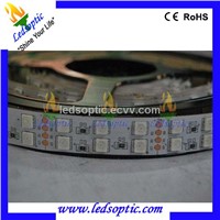 SMD 5050 double rows flexible led strip