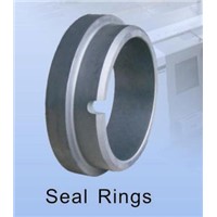 Sealing Ring For Mechanical Seals