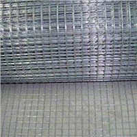 Stainless Steel &amp;amp; Galvanized Welded Wire Mesh