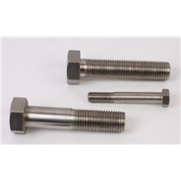 Stainless Steel nut and bolt