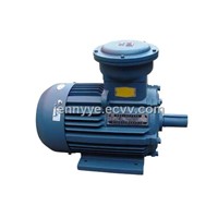 YB2 Series Explosion-Proof Three Phase Induction Motor