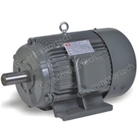 YT Series Three-Phase Asynchronous Electric Motor