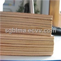 Container Plywood