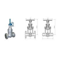 self seal gate valve