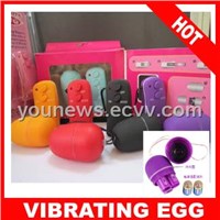 sex toy for women Adult product sex toy wireless remote control egg1021-all