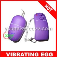 sex toys Adult product sex toy remote control egg 1021