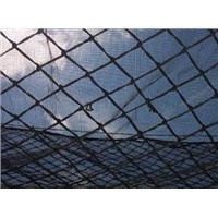 supply High Quality Safety Netting