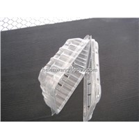 Blueberry Plastic Packing Container