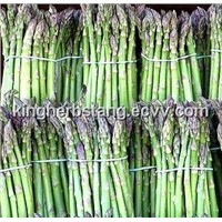 China Asparagus extract powder