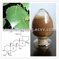 China Birch Leaf extract