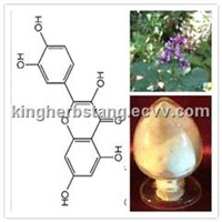 China Lespedeza capitata Extract