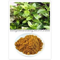 China Peppermint Extract