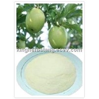 China Phlorizin