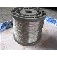 AISI304 &amp;amp; AISI316 Stainless Steel Cable 1X7 1X19