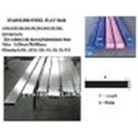 AISI 316L Stainless Steel Flat Bar