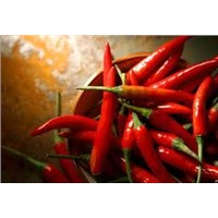 Chili Pepper Extract