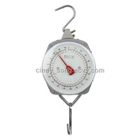 Hanging scales ZY-006