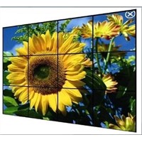 LED Advertising Display/ Advertising LED Display (48 Inch)