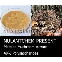 Maitake Mushroom extract 30%, 40% polysaccharides