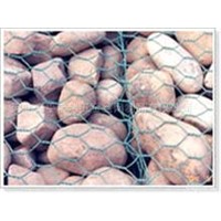PVC coated hexagonal Gabion mesh factory supplier