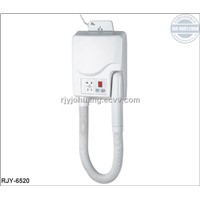 RJY-6520 CE ISO9001 Electric Hair &amp;amp; Skin Dryer (Thermostatic)