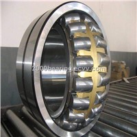 SKF Bearing