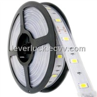 SMD5050 High brightness Flexible LED strip light DC12V 60pcs/meter