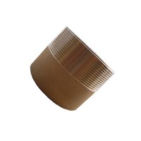 Seamless Stainless Steel Welded Nipple DIN2899/BSPT