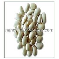 White Kidney Beans Extract wit Phaseolin 1-2%