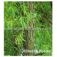White Willow Bark Extract with Salicin 15%-99%