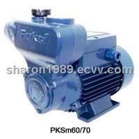 electric water pump for domesitc use