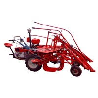 sugar cane harvester