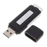 usb flash drive with built in voice recorder, usb hidden voice recorder