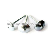 smooth galvanized roofing nails/ twist polished umbrella roofing nails