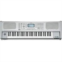 VEGA - 61-Key Arranger Workstation Keyboard with Oriental Scaling