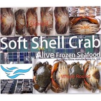 soft shell crab (alive frozen seafood)