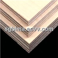 CARB Certified Birch Plywood