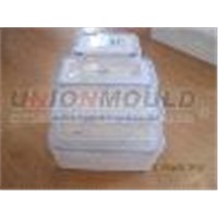 2012 hot sale FOOD CONTAINER MOLD