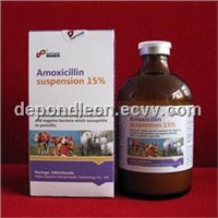 Amoxicillin injection 15% for vet use