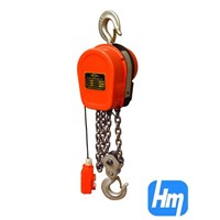 DHS electric hoist