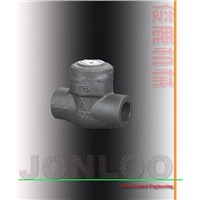 Forged Welded Bonnet Check Valve