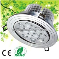 LED Down Lamp