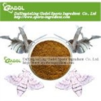 Male Silk Moth Extract