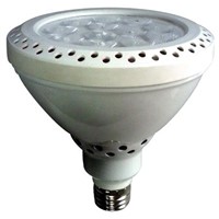LED PAR38 light