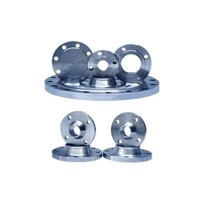 Stainless Steel 300 Anchoring Flange