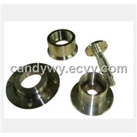 Casting Stainless Steel Flange