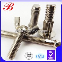 Stainless steel screw